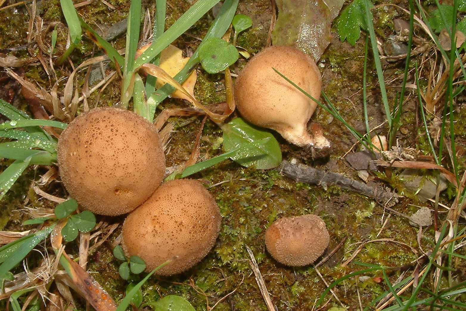 Cosa ha da fare un marinaio in montagna se non....